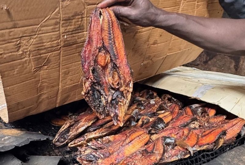 Tanji Fishing Village