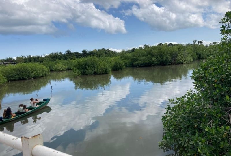 Makasutu Cultural Forest