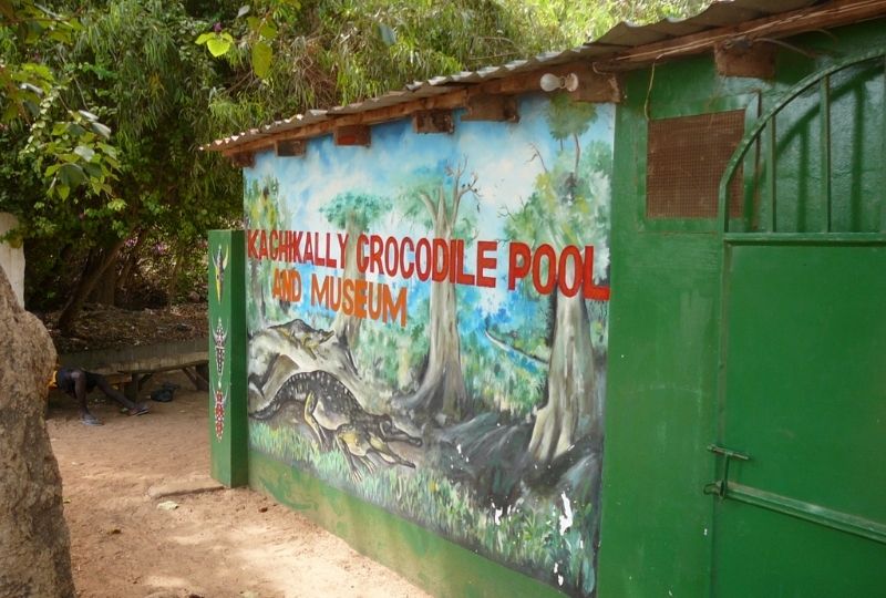 Kachikally Crocodile Pool