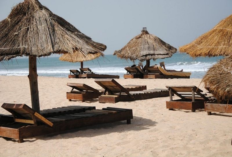 Bijilo Forest Park (Monkey Park)