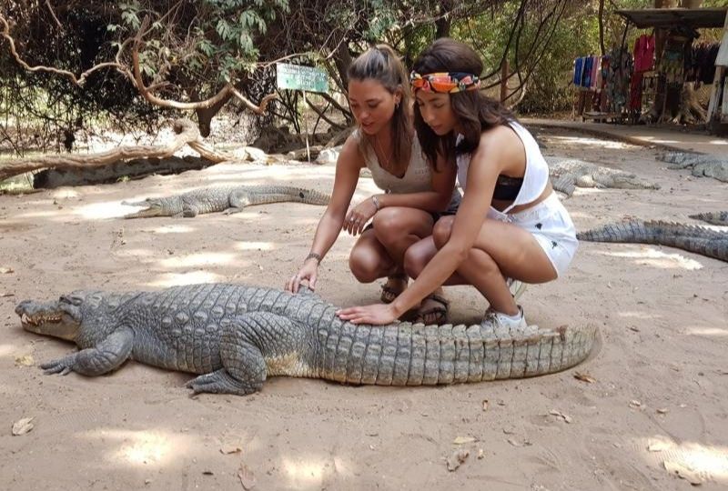 Kachikally Crocodile Pool
