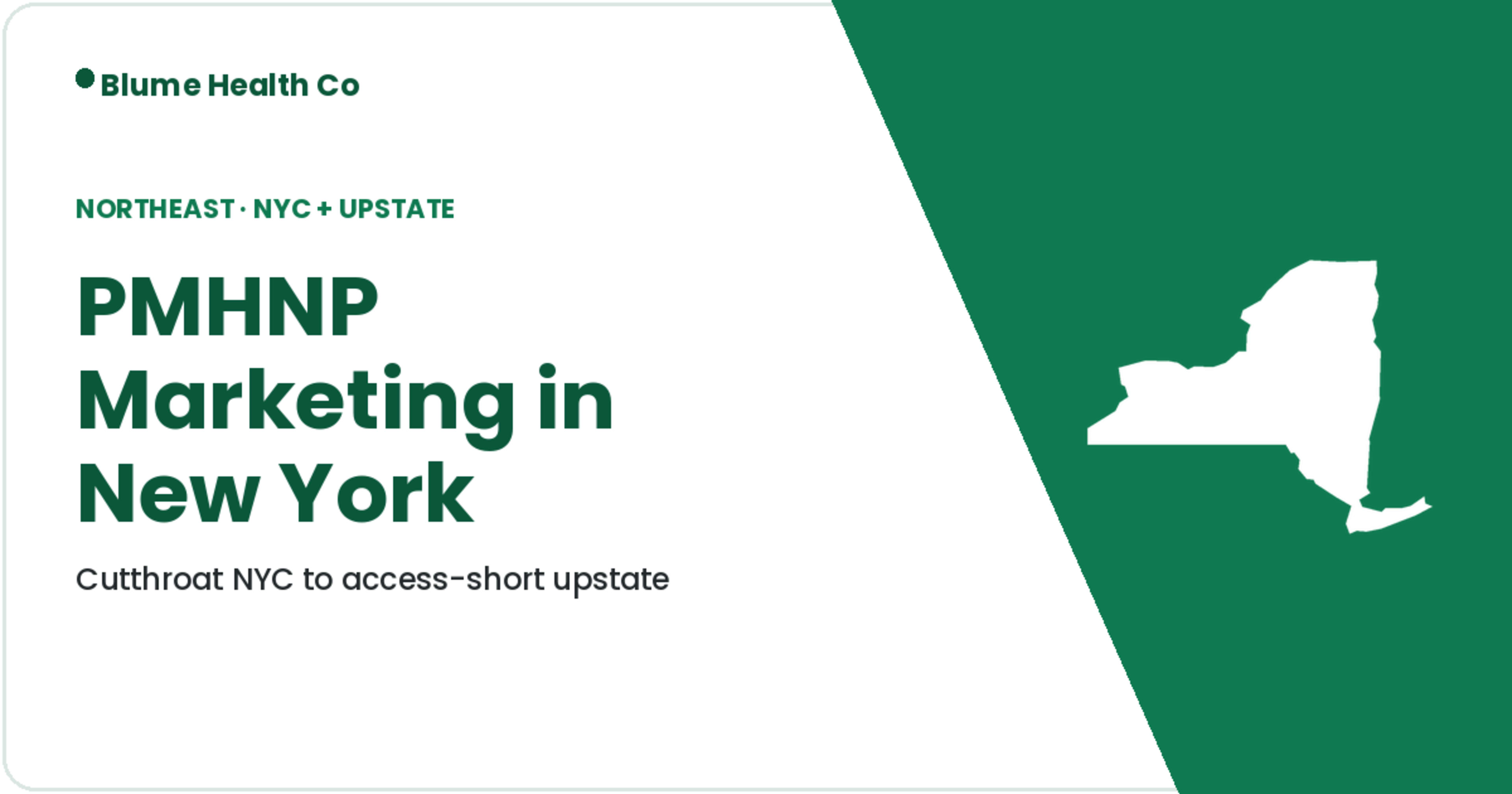New York mental health marketing local search preview
