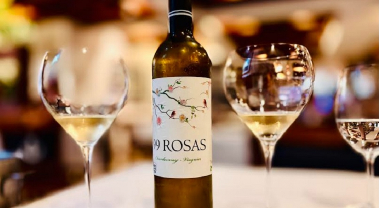 Vinhos brancos espanhóis em alta: confira as novidades!