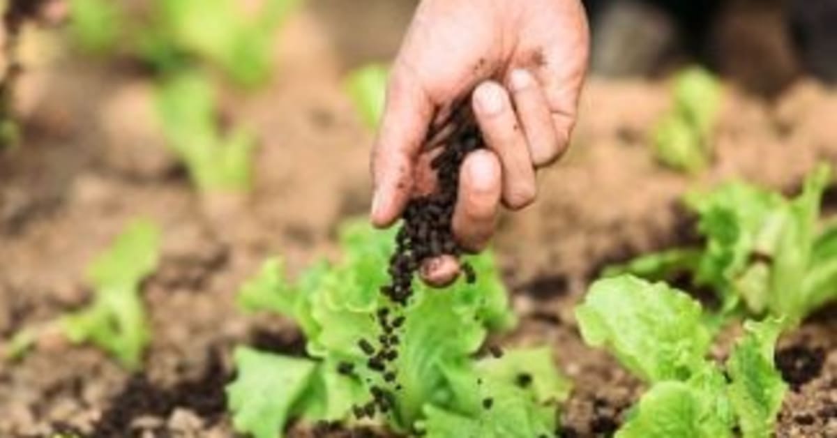 O que é a bio-competitividade e como impacta o agro brasileiro?