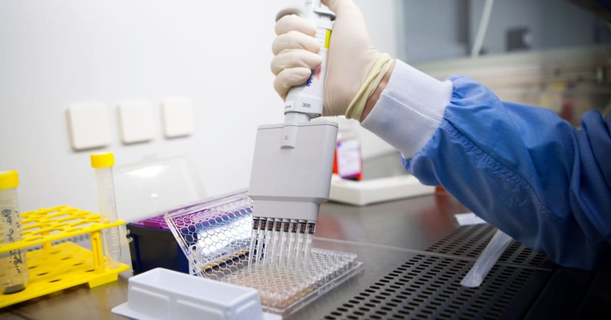 Como a sul-coreana Voronoi revolucionou o mercado de câncer e fez seu CEO bilionário?