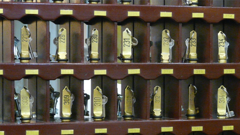 Holland Blomstertget EGE