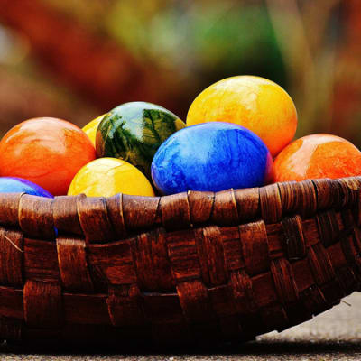  Stralsund med pskmarknad i Greifswald 