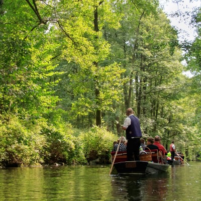 Spreewald, sparris och vin