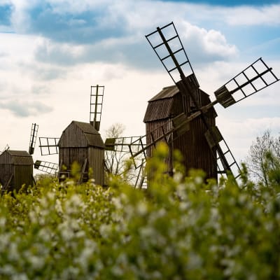 land med Halltorps Gstgiveri