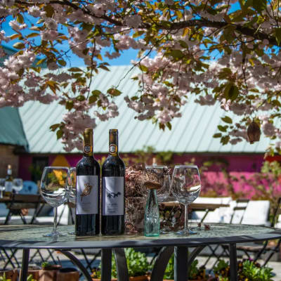 Sk�nska ving�rdar