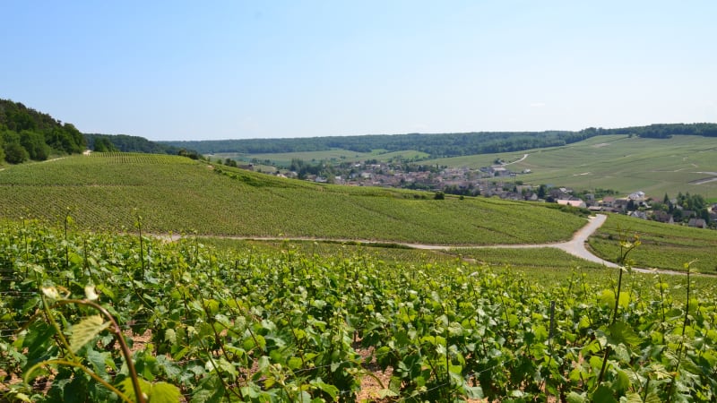 Beaune  Chablis  Reims