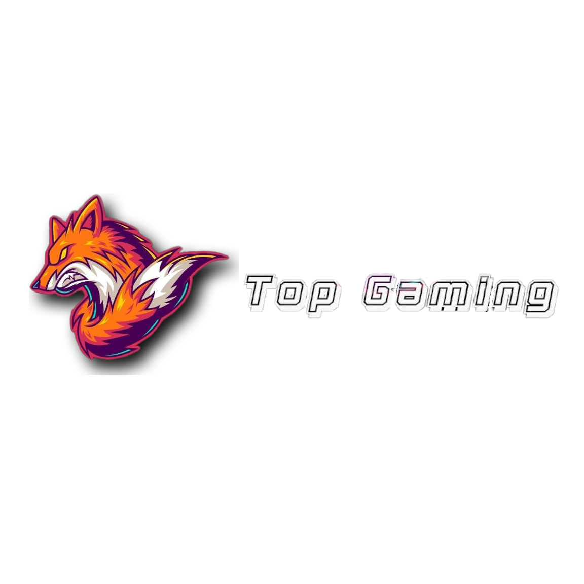 Logo Top Gaming