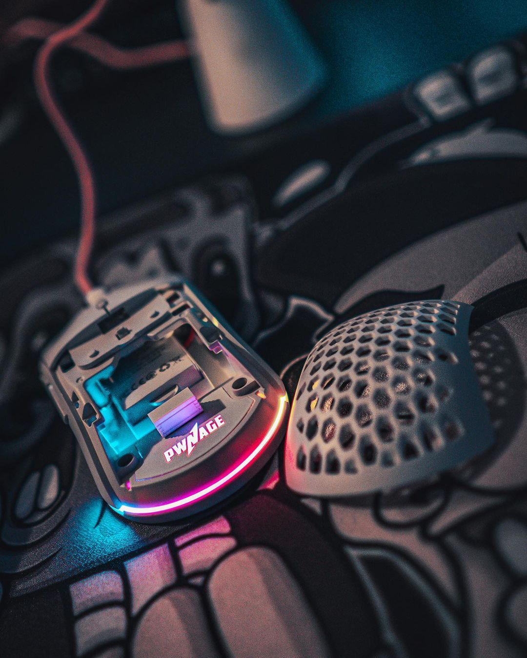 mouse