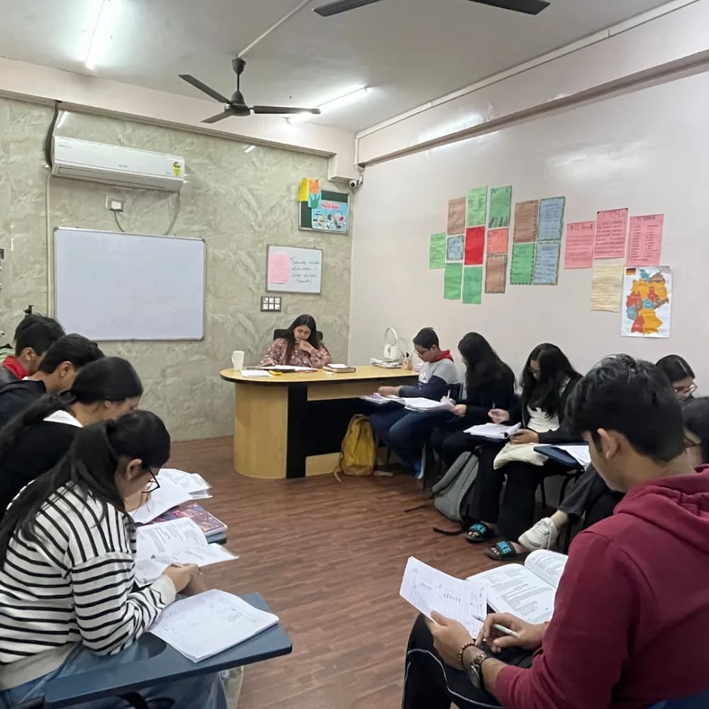 Mentor Language Institute