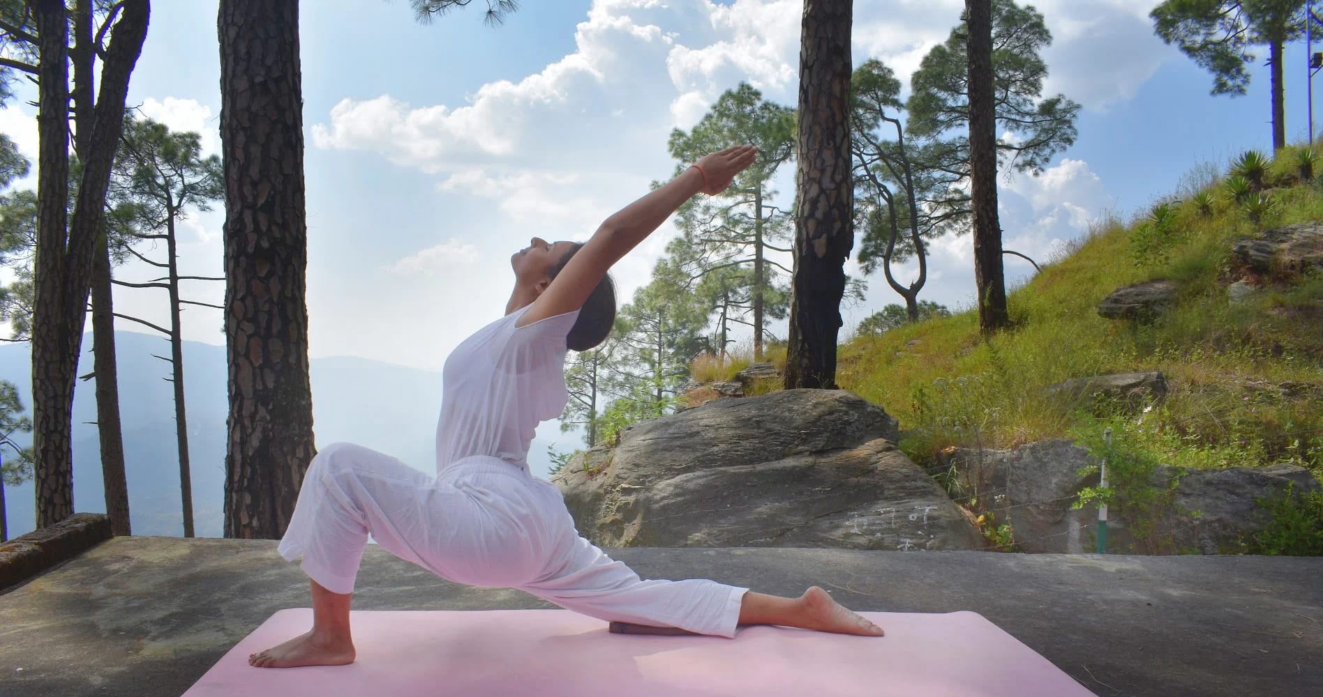 Sivananda Himalaya