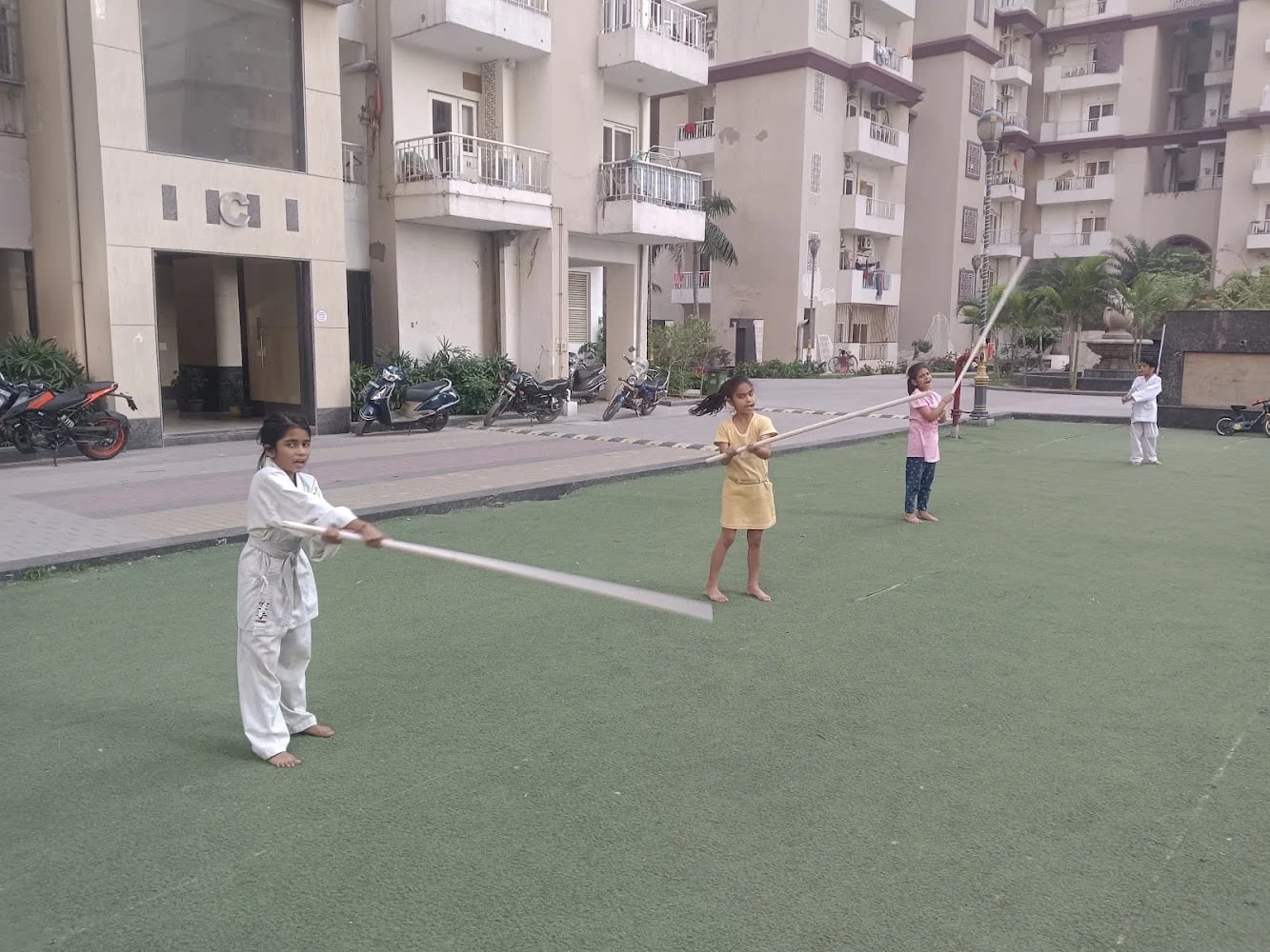 Aims green karate academy