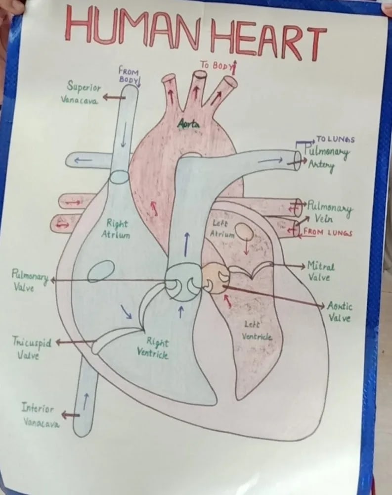 Biology tuition classes by Mansi singhal