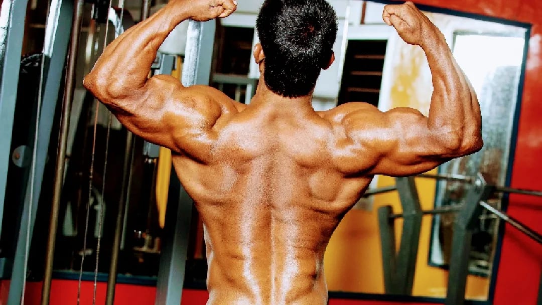 Gym in noida sector 12