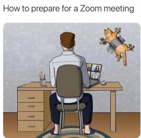 Meme sobre la preparacion para una reunion remota por Zoom