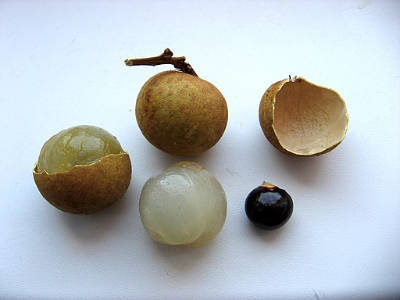 What is Longan Fruit?