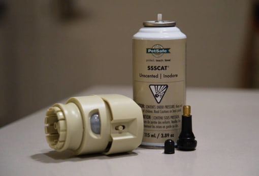ssscat petsmart