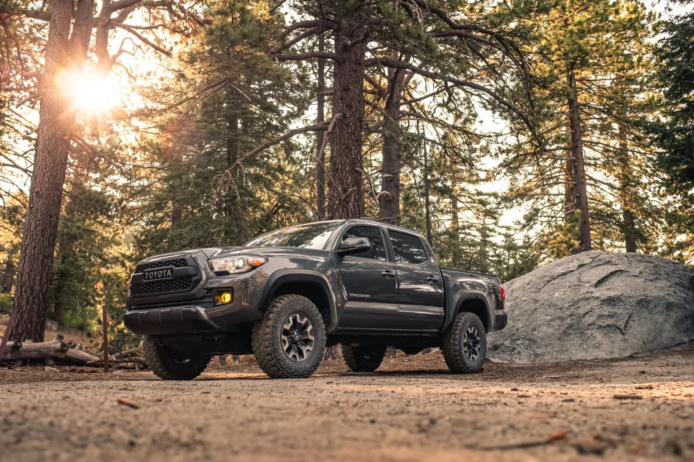 Toyota Tacoma Trees
