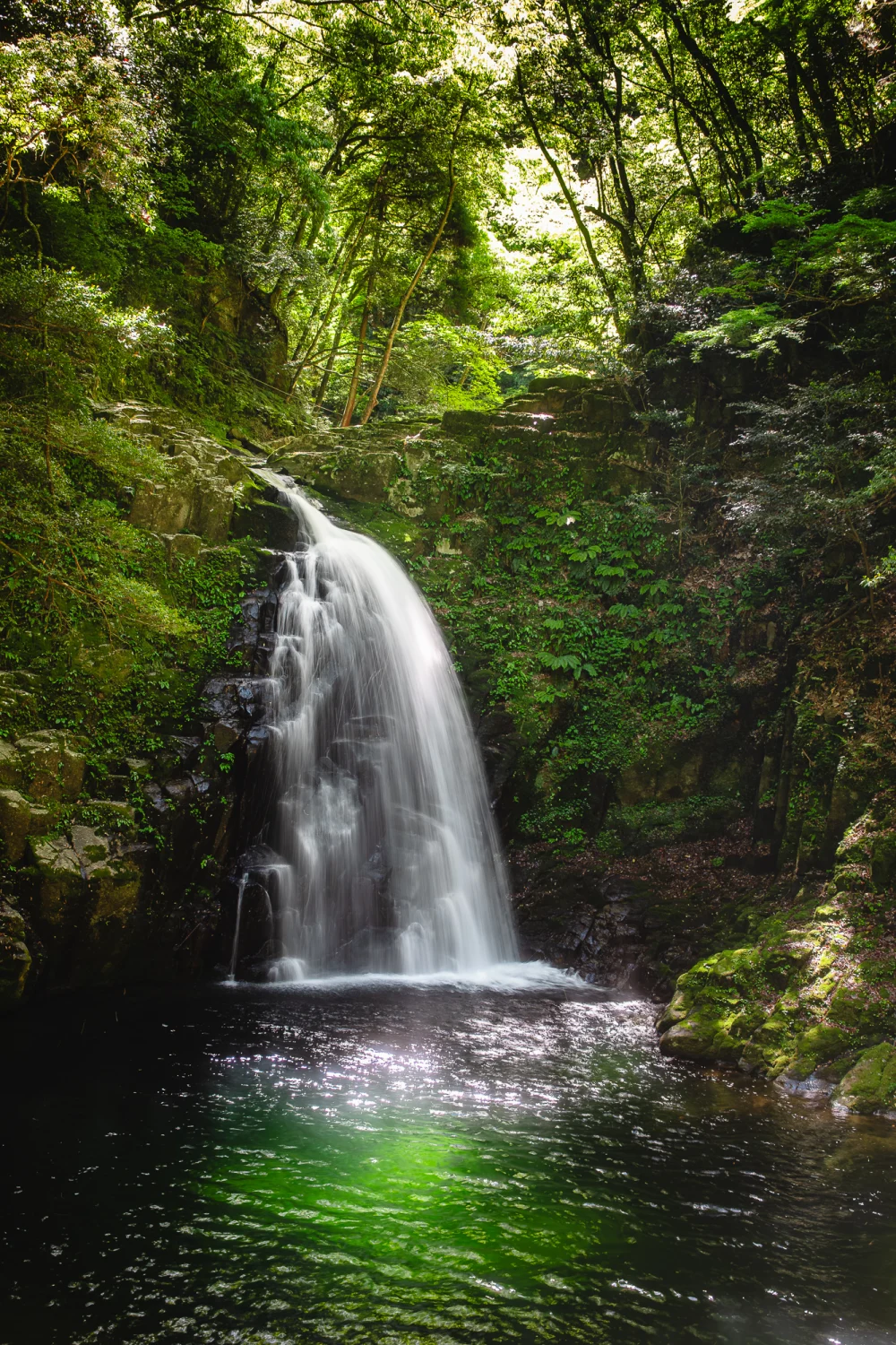 Forest Waterfall Green Pool