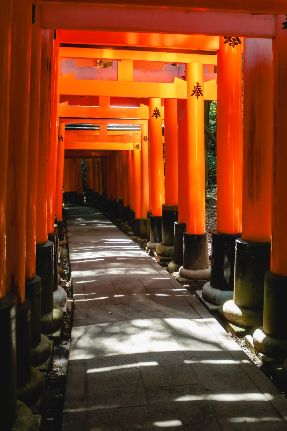 Fushimi Inari Torii Gates