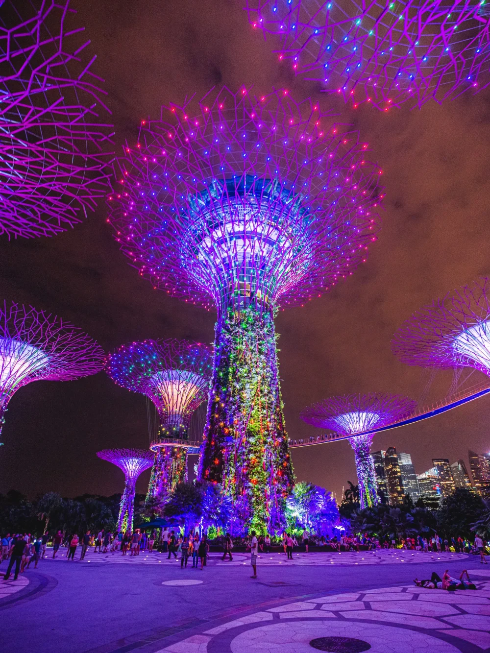Gardens By The Bay Night Marina Bay Sands
