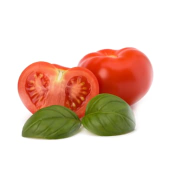Tomato & Basil