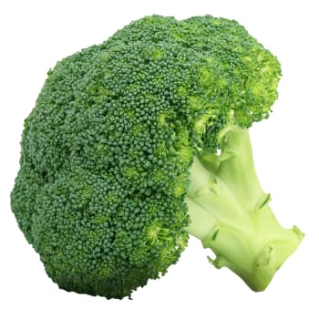 Broccoli