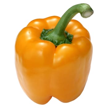 Orange Bell Pepper