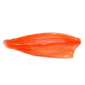 Salmon Trout