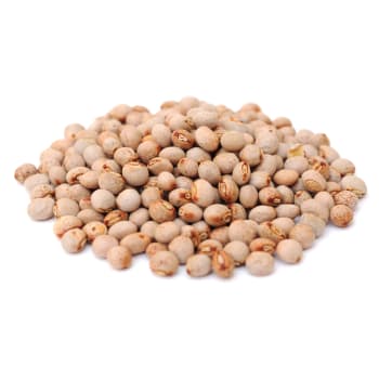Pigeon Peas