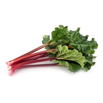 Rhubarb