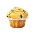 french vanilla chip muffin