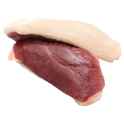duck breast