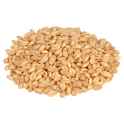 durum wheat