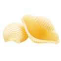 shell pasta