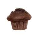 double chocolate muffin