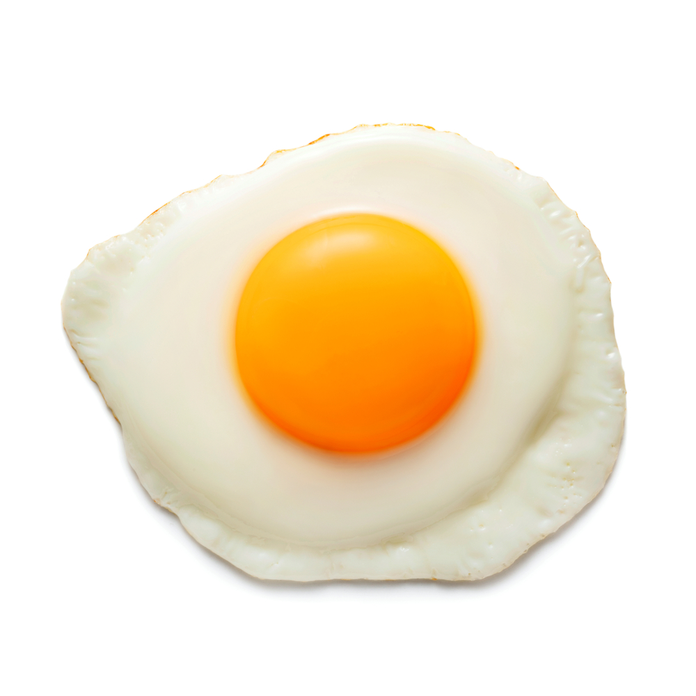 egg