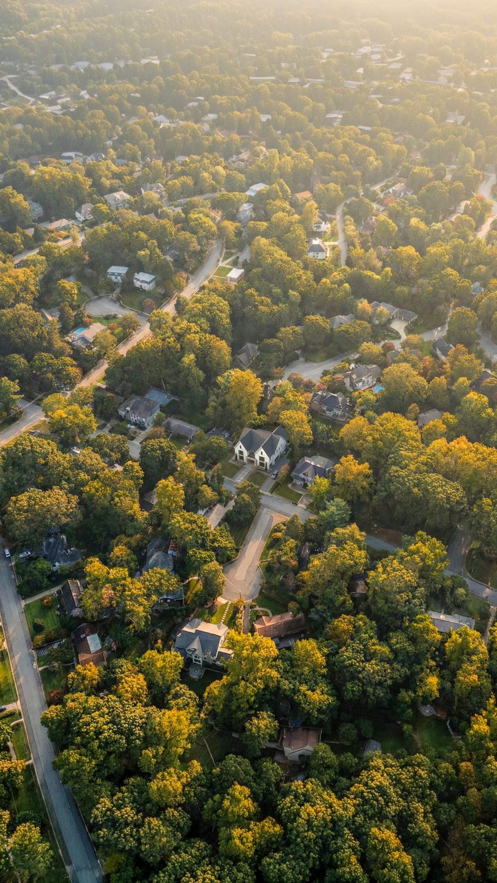 Full cinematic preview