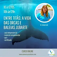 Entre Titãs: A Vida das Orcas e das Baleias Jubarte