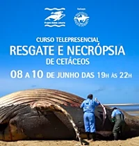 Resgate e Necrópsia de Cetáceos
