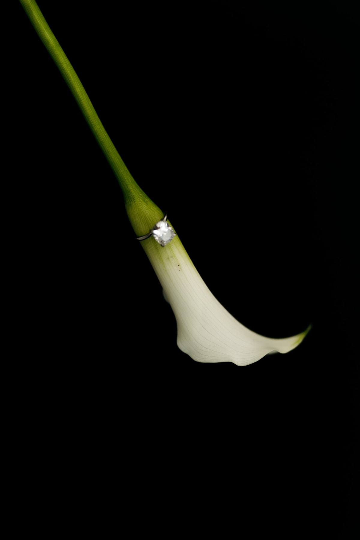 Detalle boda 1