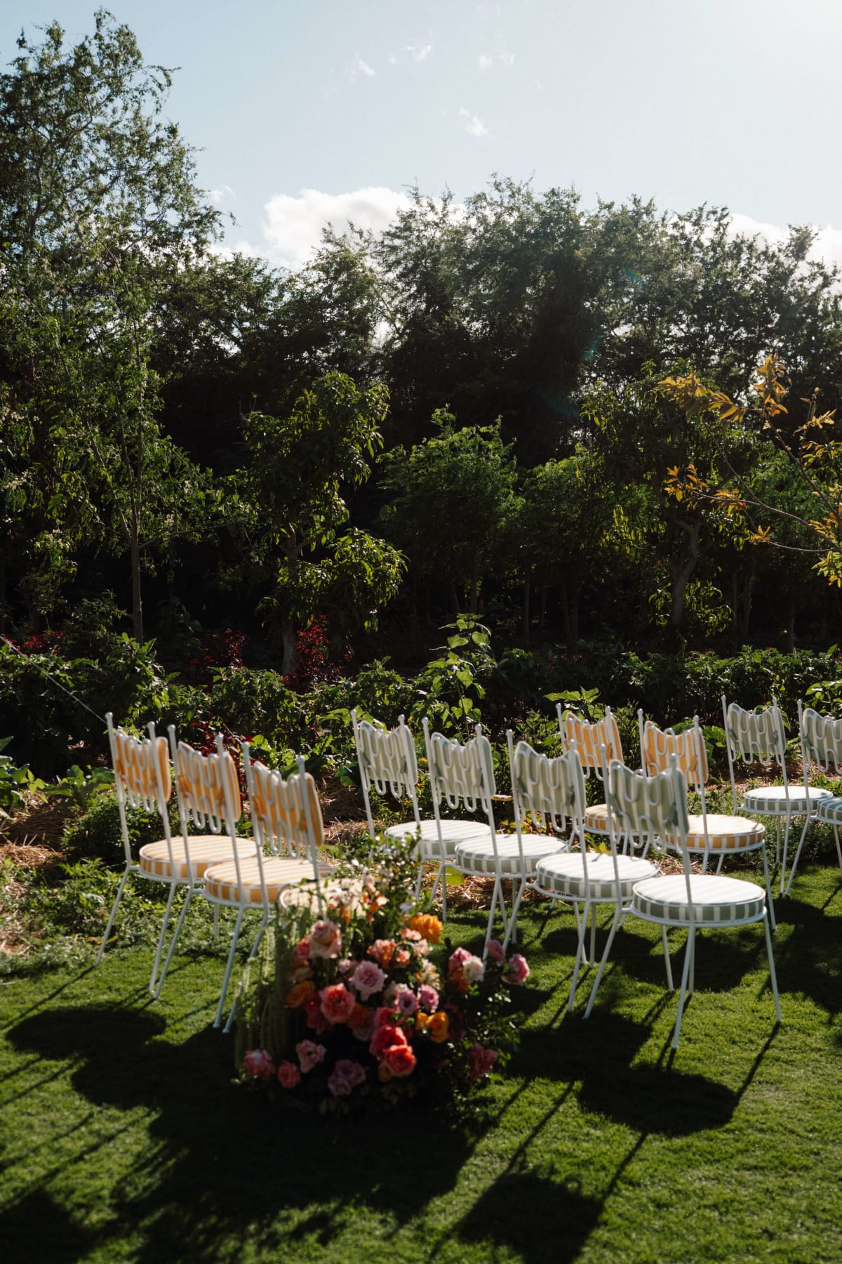 Fila 6 imagen 2