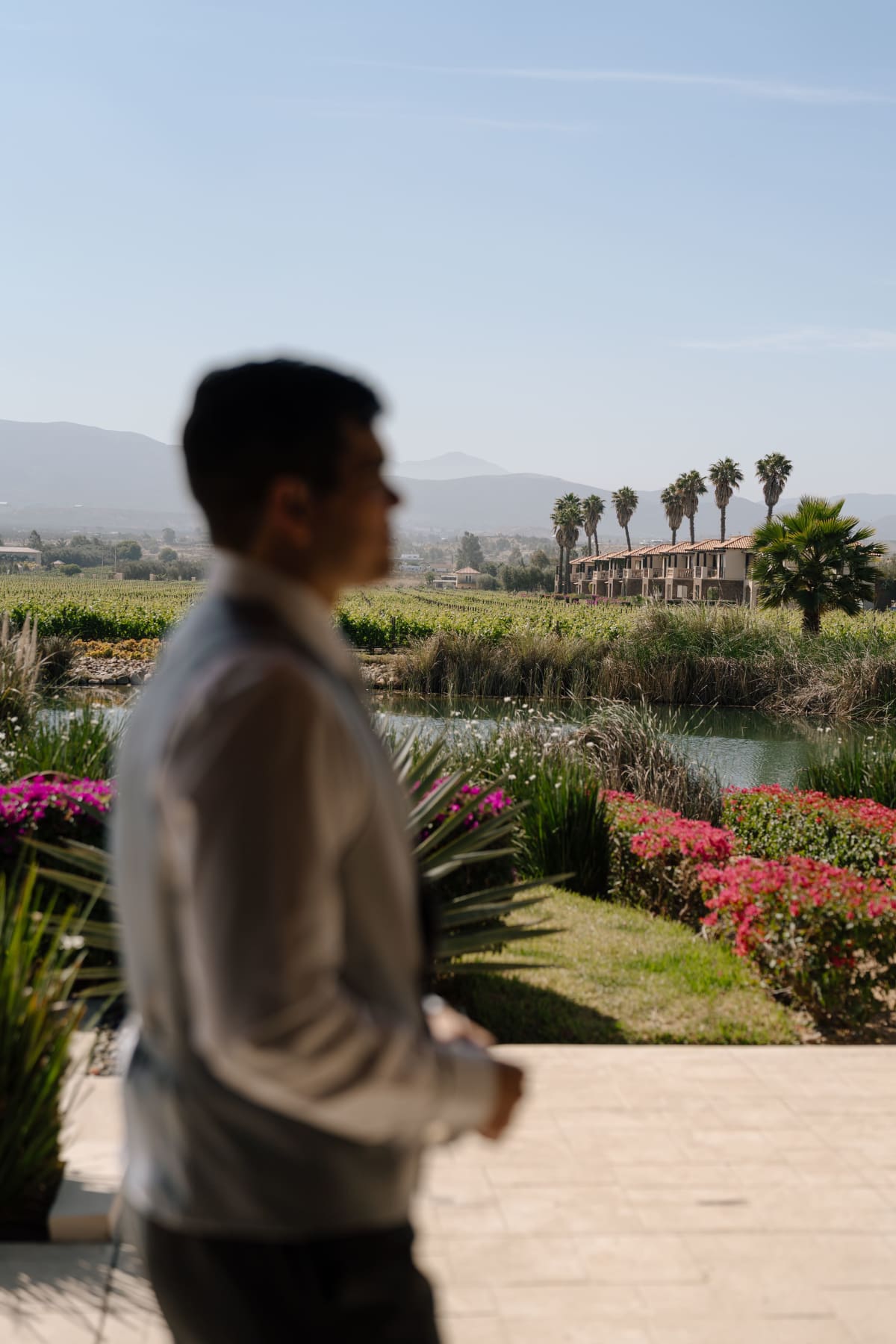 Valle de Guadalupe: Wine Country Weddings in Baja California