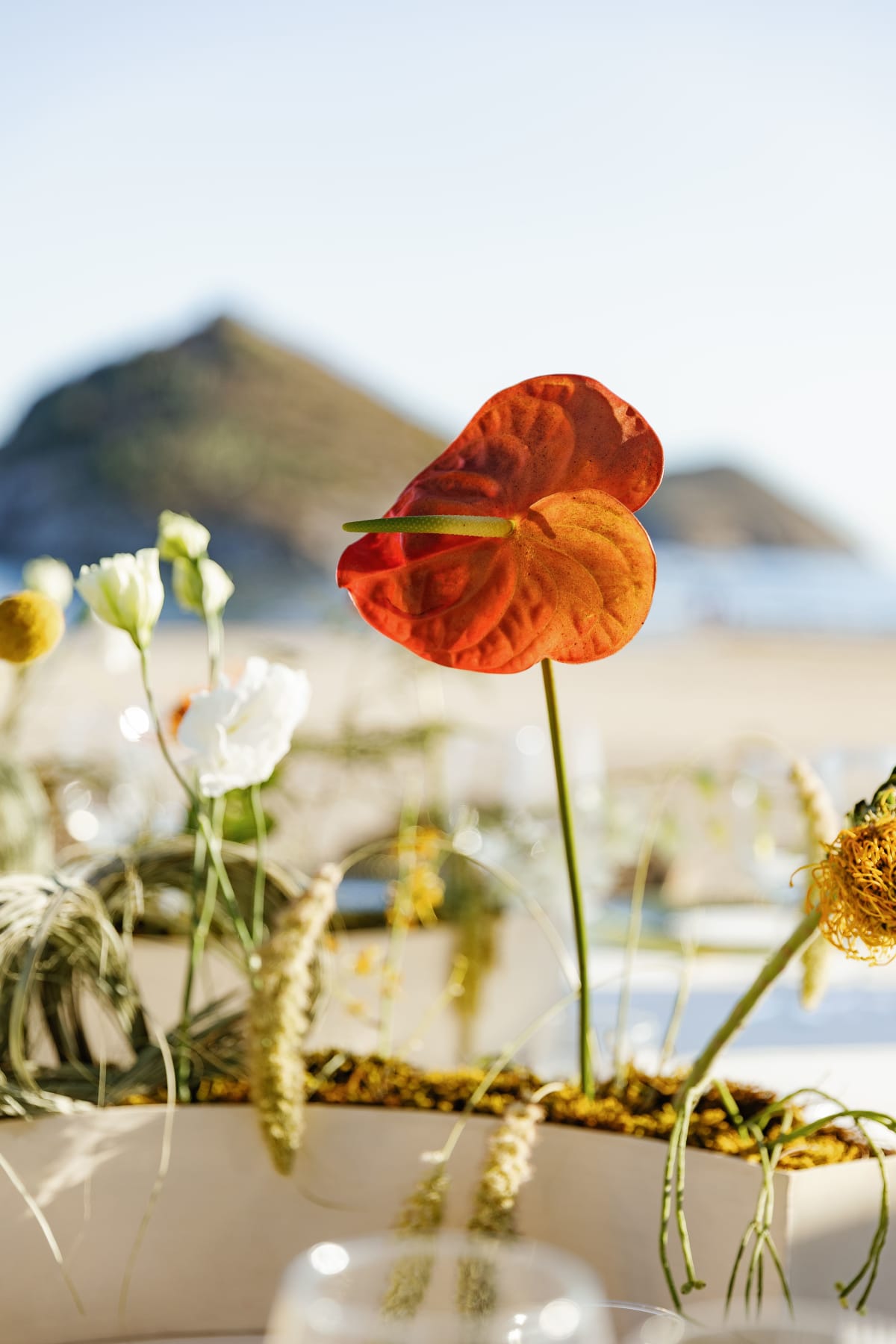 Anniversary and Vow Renewal Photography in Destination Locations