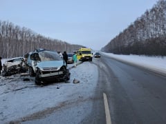 Три человека погибли в Крещение на трассе Новосибирск-Барнаул
