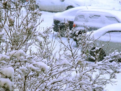 Новосибирцев предупредили о порывистом ветре, снегопадах и метелях